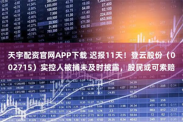 天宇配资官网APP下载 迟报11天！登云股份（002715）实控人被捕未及时披露，股民或可索赔